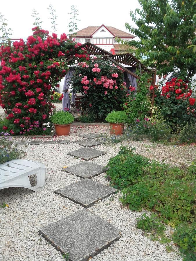 多亚马伊 Casa Ellamy酒店 外观 照片